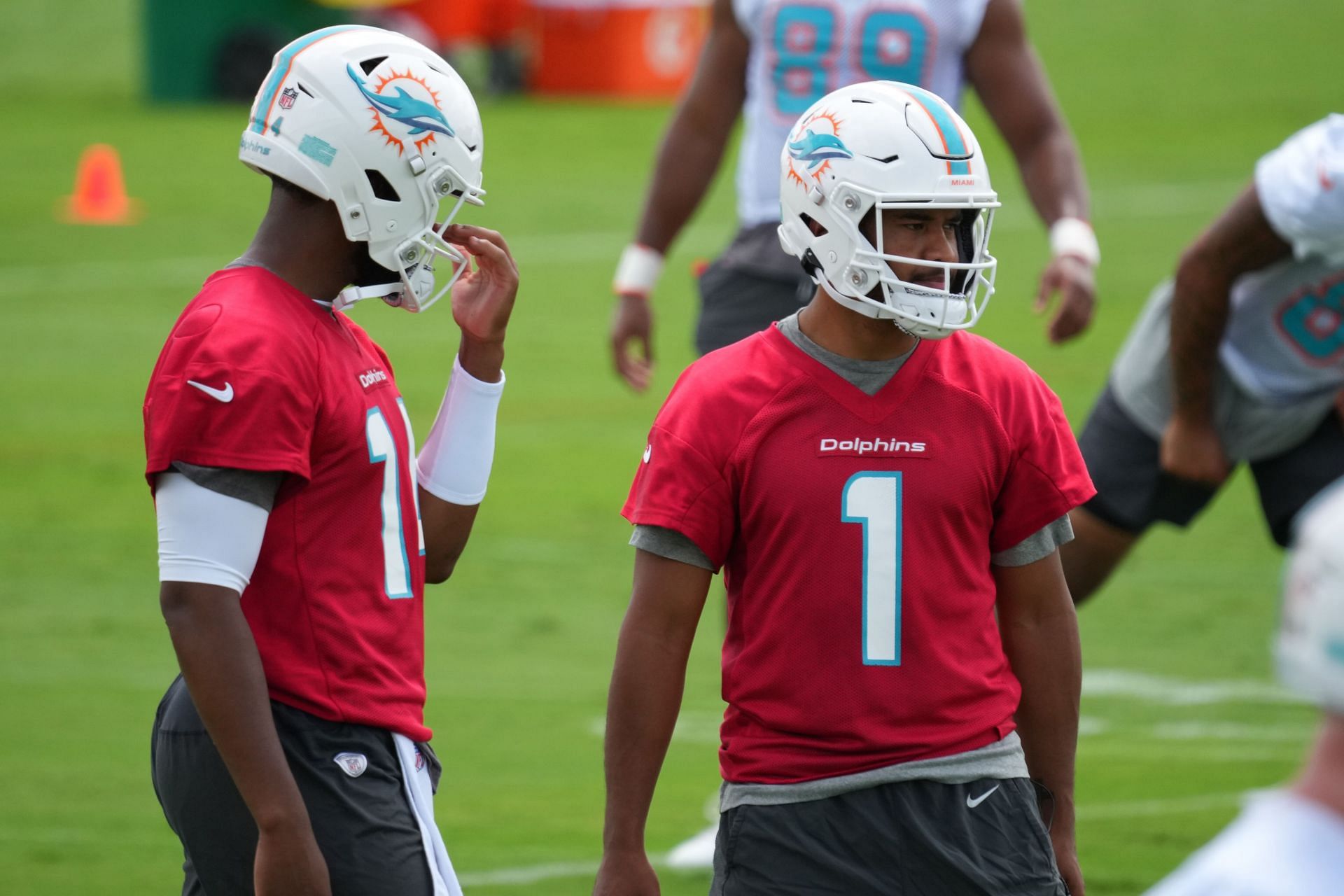 Miami Dolphins Mandatory Minicamp